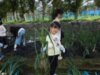 CIMG0956