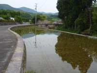 P1100808
