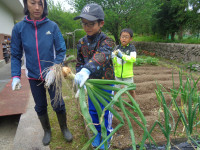 DSC00793