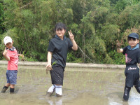 DSC01454