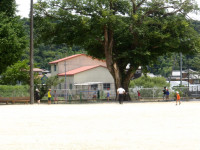 IMGP4539