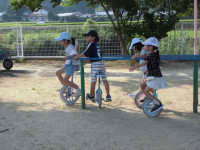 CIMG2010