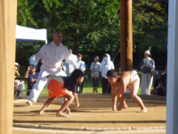 P1130152