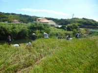 P1130691