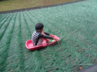 DSC00985