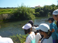 P1100159